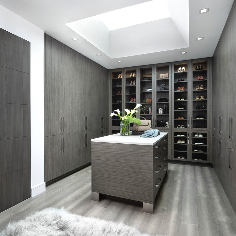 Porte en verre beige à la maison moderne de Grey Melamine Walk In Closet pour le vestiaire
